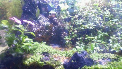 d0056881_22374523.jpg