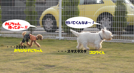 e0066883_0545496.gif