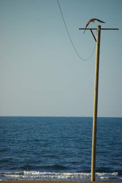 e0051186_812258.jpg