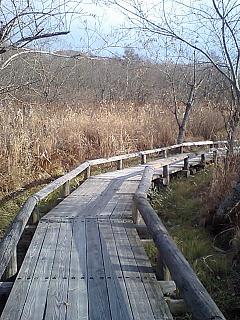 f0075087_20343070.jpg