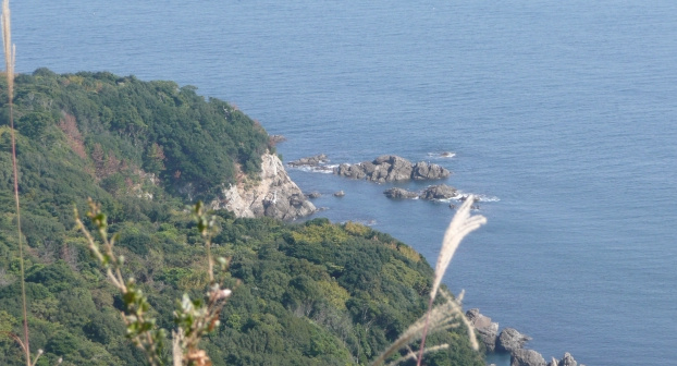 d0149089_23503670.jpg