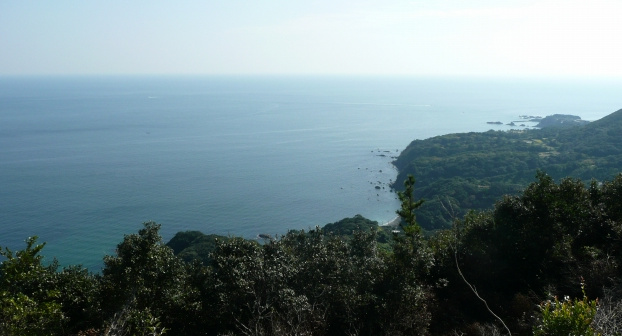 d0149089_23504019.jpg