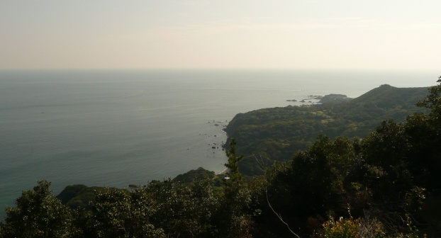 d0149089_2351034.jpg
