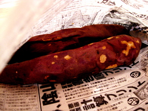 d0056490_16233799.jpg