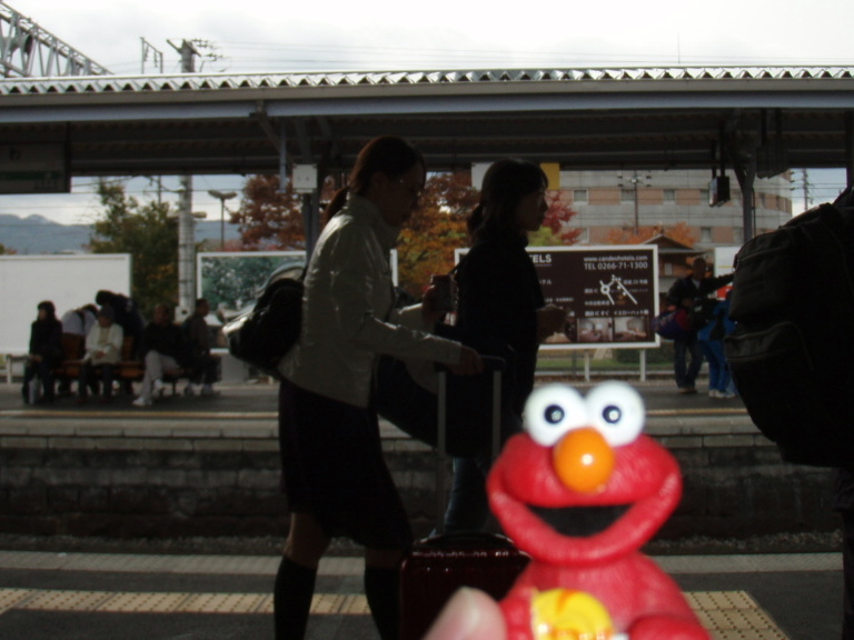 d0034291_1342436.jpg