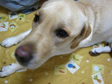 c0028792_22265888.jpg