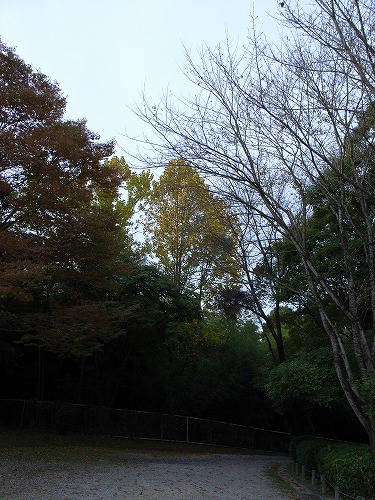b0119493_19321811.jpg