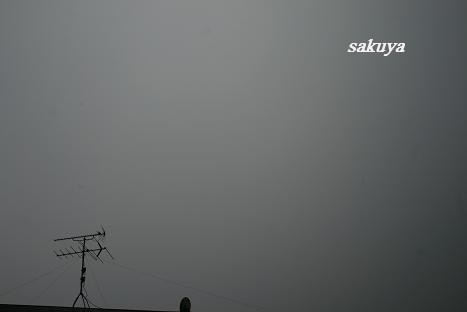 e0122194_22203879.jpg