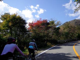 d0010496_22203446.jpg
