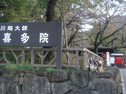 c0094999_21312921.jpg