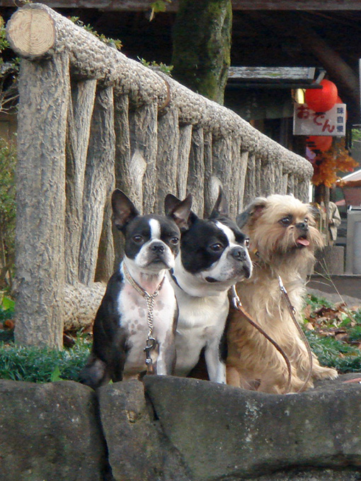 c0094999_21333862.jpg