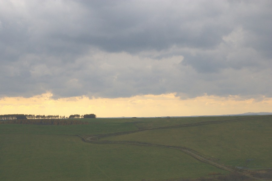 d0124100_19353765.jpg