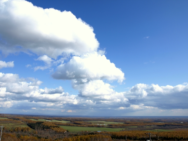 f0020302_2116469.jpg
