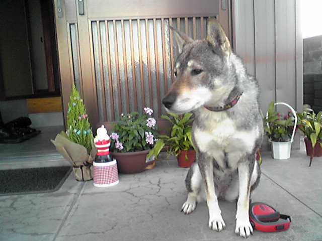 f0079202_16353735.jpg