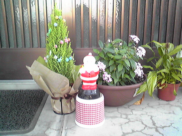 f0079202_16353748.jpg
