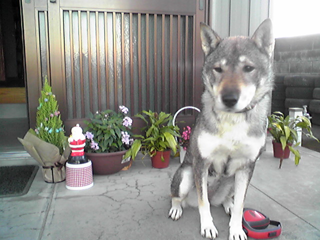 f0079202_16353780.jpg