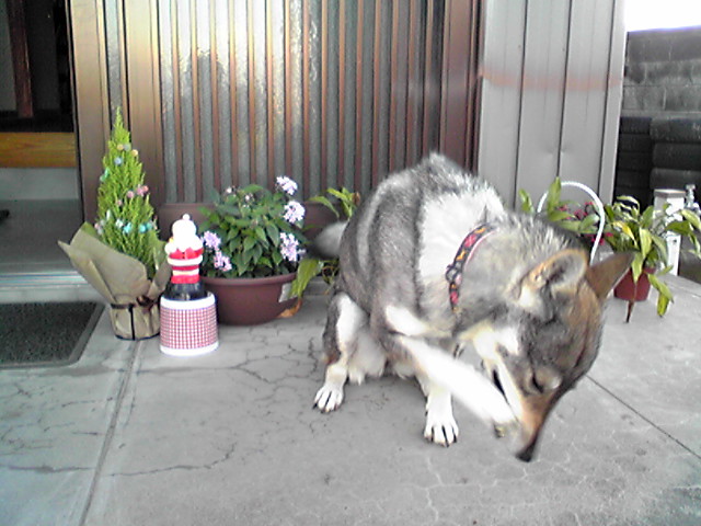 f0079202_16353782.jpg