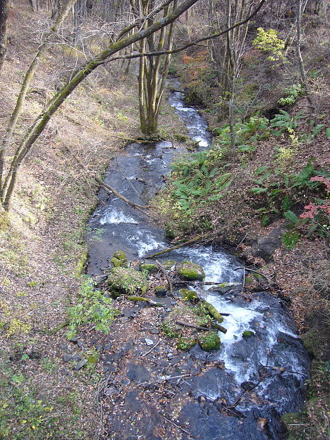 b0114403_21182843.jpg