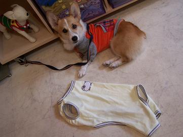 c0126703_1810948.jpg