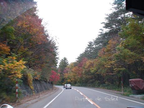d0087503_0371459.jpg