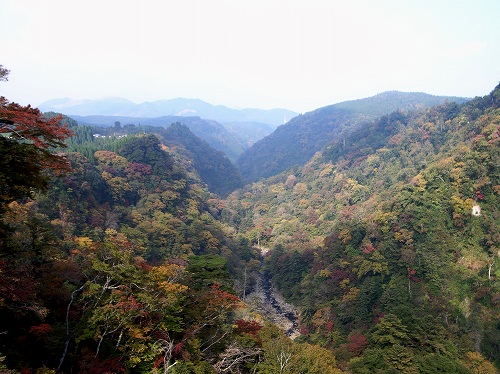 f0195204_16213453.jpg