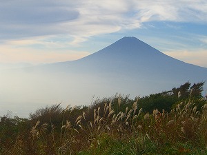 c0148705_23224436.jpg