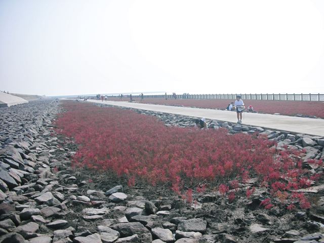 f0035506_2247246.jpg