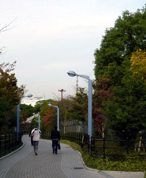 c0008209_1436883.jpg