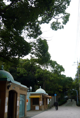 c0008209_1440565.jpg