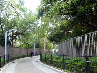 c0008209_1451388.jpg