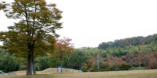 c0011009_440616.jpg