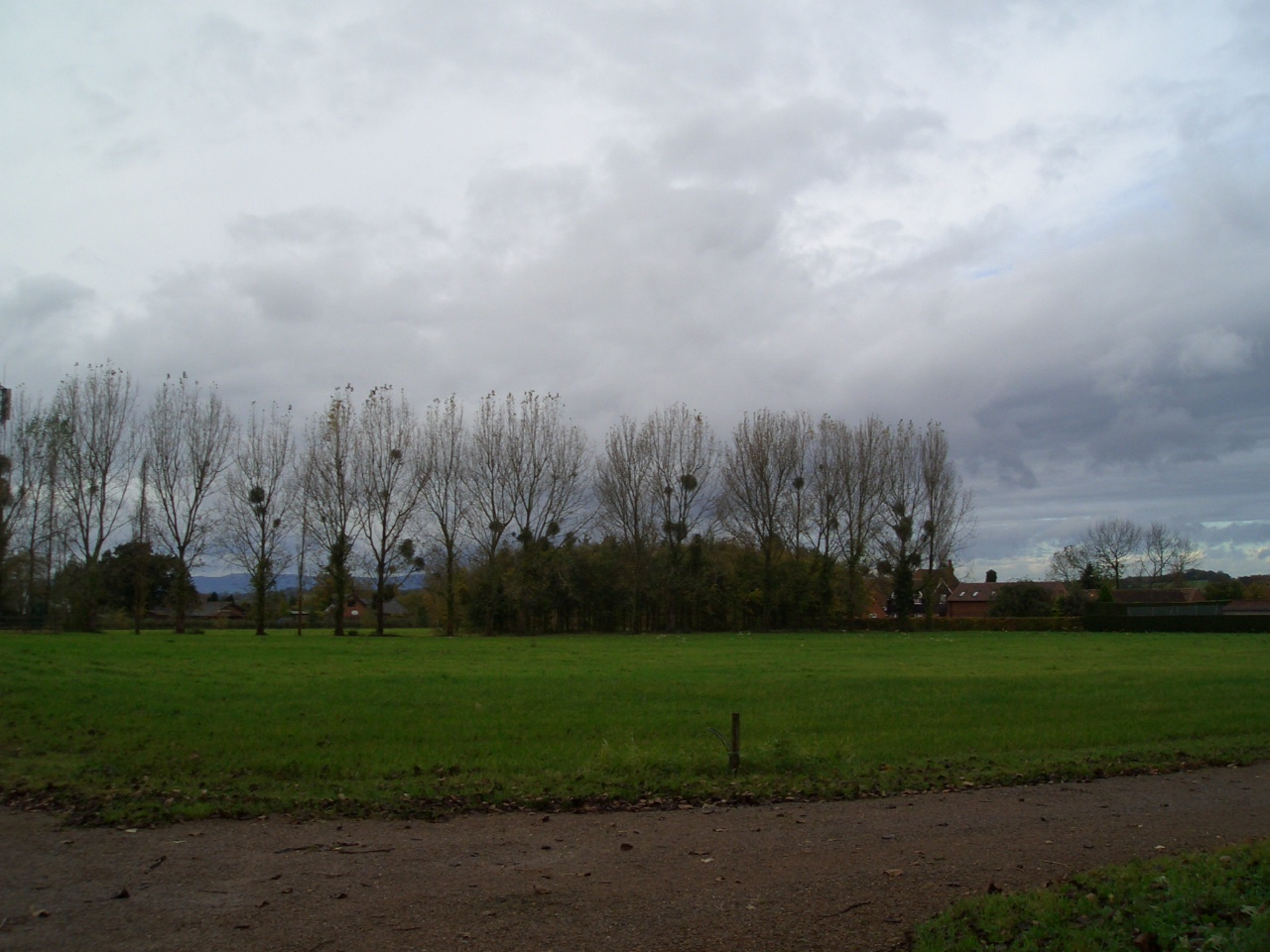 e0141909_22512998.jpg