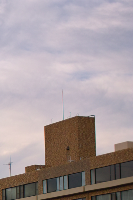 b0137311_21255679.jpg