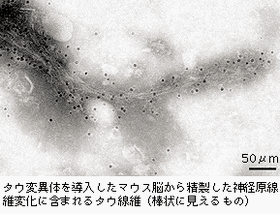 a0037414_2213235.gif