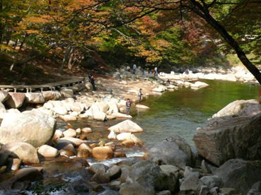 e0097615_1449227.jpg