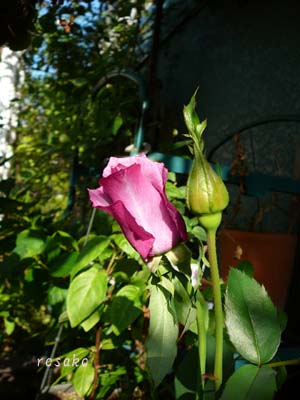 f0059818_22352442.jpg