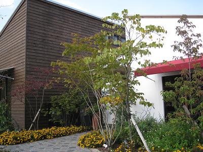 b0109220_16411837.jpg