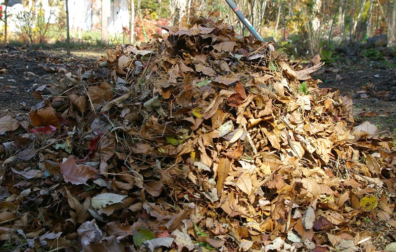 e0136424_20135818.jpg