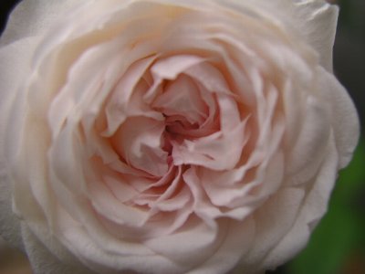 b0031925_1741722.jpg