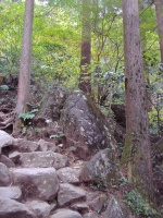b0132630_13413082.jpg