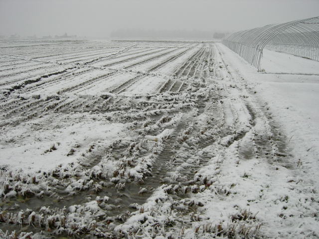 d0145133_2273749.jpg