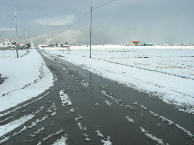 d0145133_22873.jpg