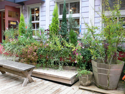 f0061334_20585982.jpg