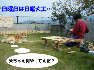 f0008935_10261866.gif