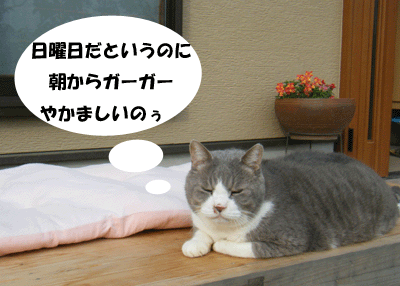 f0008935_10265898.gif