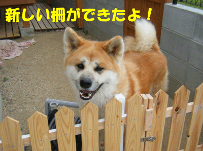 f0008935_10283988.gif
