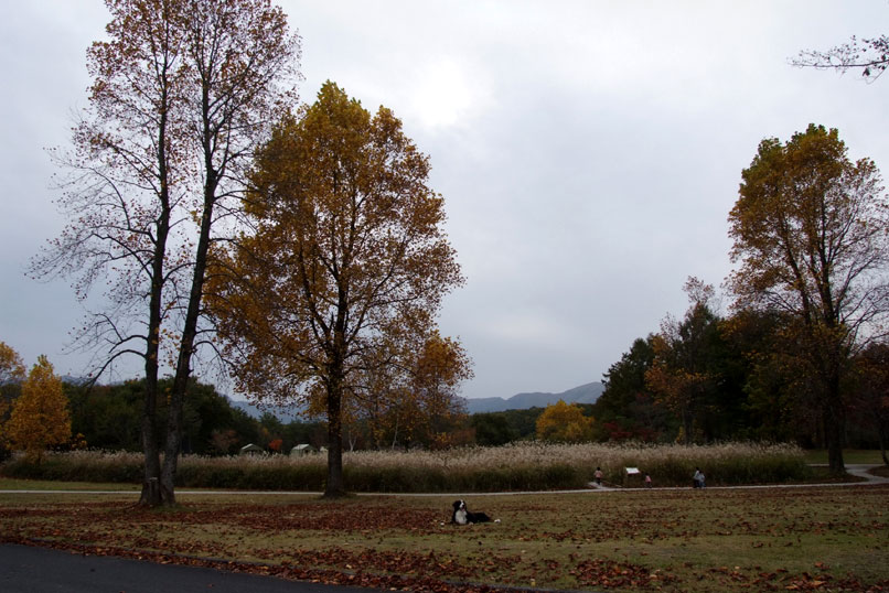 b0075541_21441594.jpg