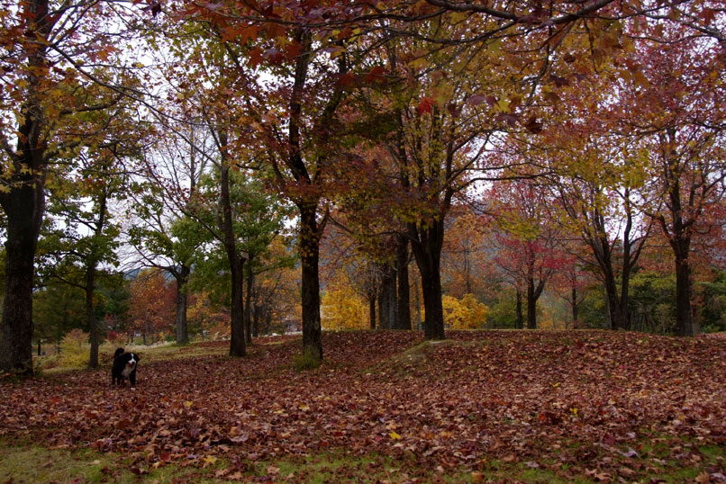 b0075541_2146387.jpg