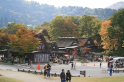 f0000644_20145725.jpg