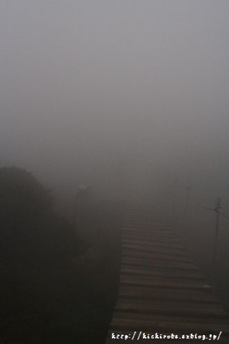 f0039446_17472347.jpg